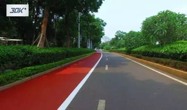 富力红树湾4公里健康绿色跑道 一起奔跑,享受运动与健康 跑过红树林